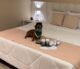 Parceria Resort Matiz Igaratá Eventos & Spa e Soft Care reforça compromisso com bem-estar dos pets