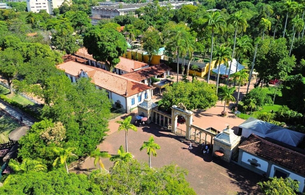 BioParque do Rio fecha novamente após mortes de mais aves por gripe aviária 1 A detecção do vírus em aves domésticas representa um fato inédito na vigilância sanitária fluminense (Divulgação/Bioparque do Rio)