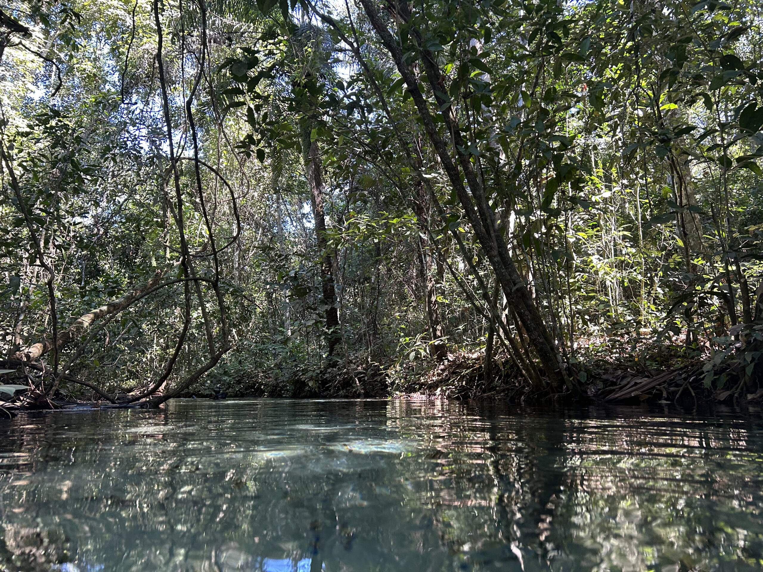 Entre o cerrado e o Pantanal: o novo papel do Turismo em Mato Grosso 3 Flutuacao no Rio Salobra realizado pelo Reino Encantado Giulia Jardim ME 2 scaled Entre o cerrado e o Pantanal: o novo papel do Turismo em Mato Grosso