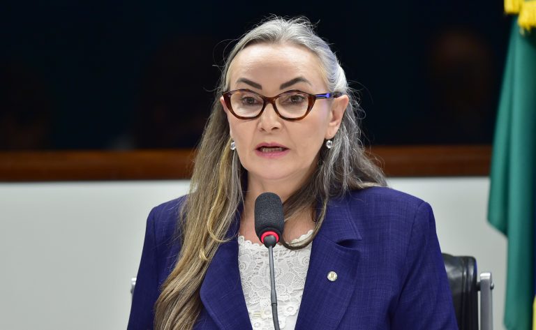 Marco legal para motorhomes avança na Câmara e prevê expansão de pontos de apoio 1 img20250701112517606 768x473 1 Marco legal para motorhomes avança na Câmara e prevê expansão de pontos de apoio