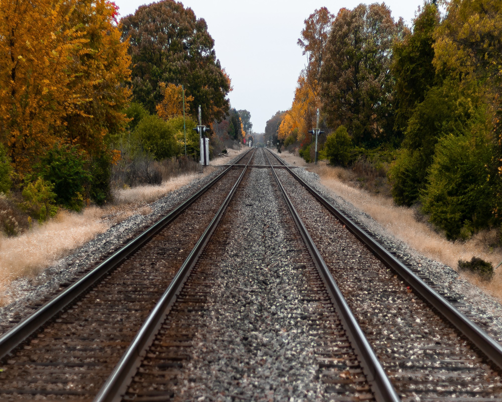 Transporte ferroviário turístico deve ligar capital gaúcha a Gramado em 1 hora (Freepik/Wirestock)
