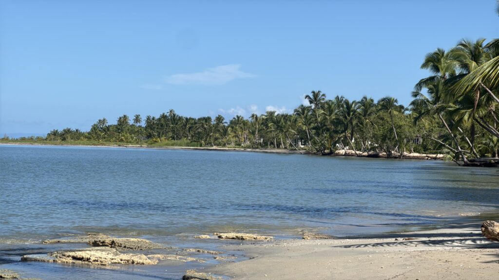 República Dominicana aposta em novas rotas e porto de cruzeiros para impulsionar o turismo República Dominicana aposta em novas rotas e porto de cruzeiros para impulsionar o turismo