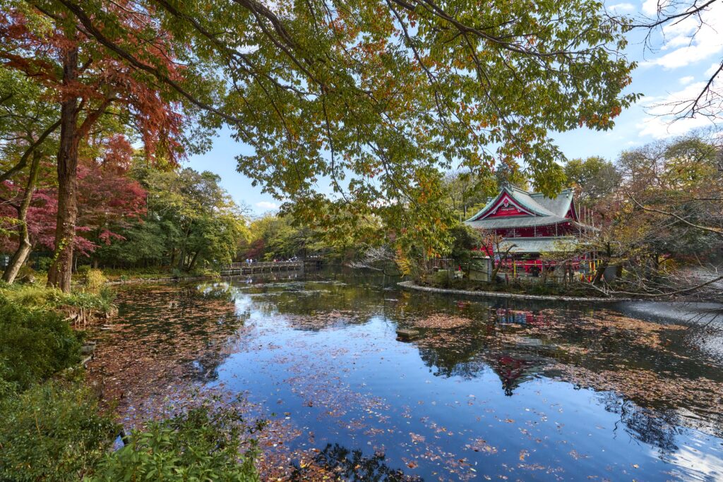 Inokashira Park credito © TCVB De trens luxuosos a pinguins no gelo: Japão ganha destaque na Quickly