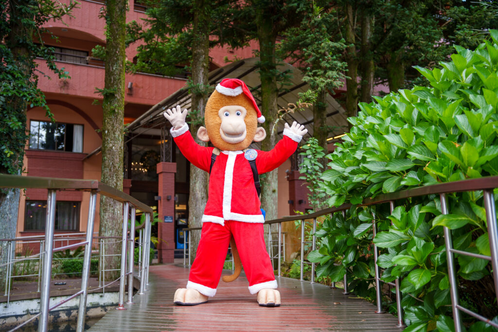 Sudeste e Nordeste impulsionam ocupação da Rede Master durante o Natal Luz em Gramado Sudeste e Nordeste impulsionam ocupação da Rede Master durante o Natal Luz em Gramado