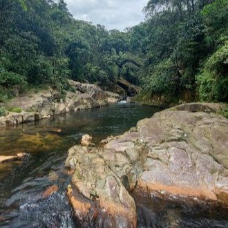 Parquetur 2.2 Um dia no Caminhos do Mar: guia prático de visita ao parque histórico que liga o planalto ao litoral