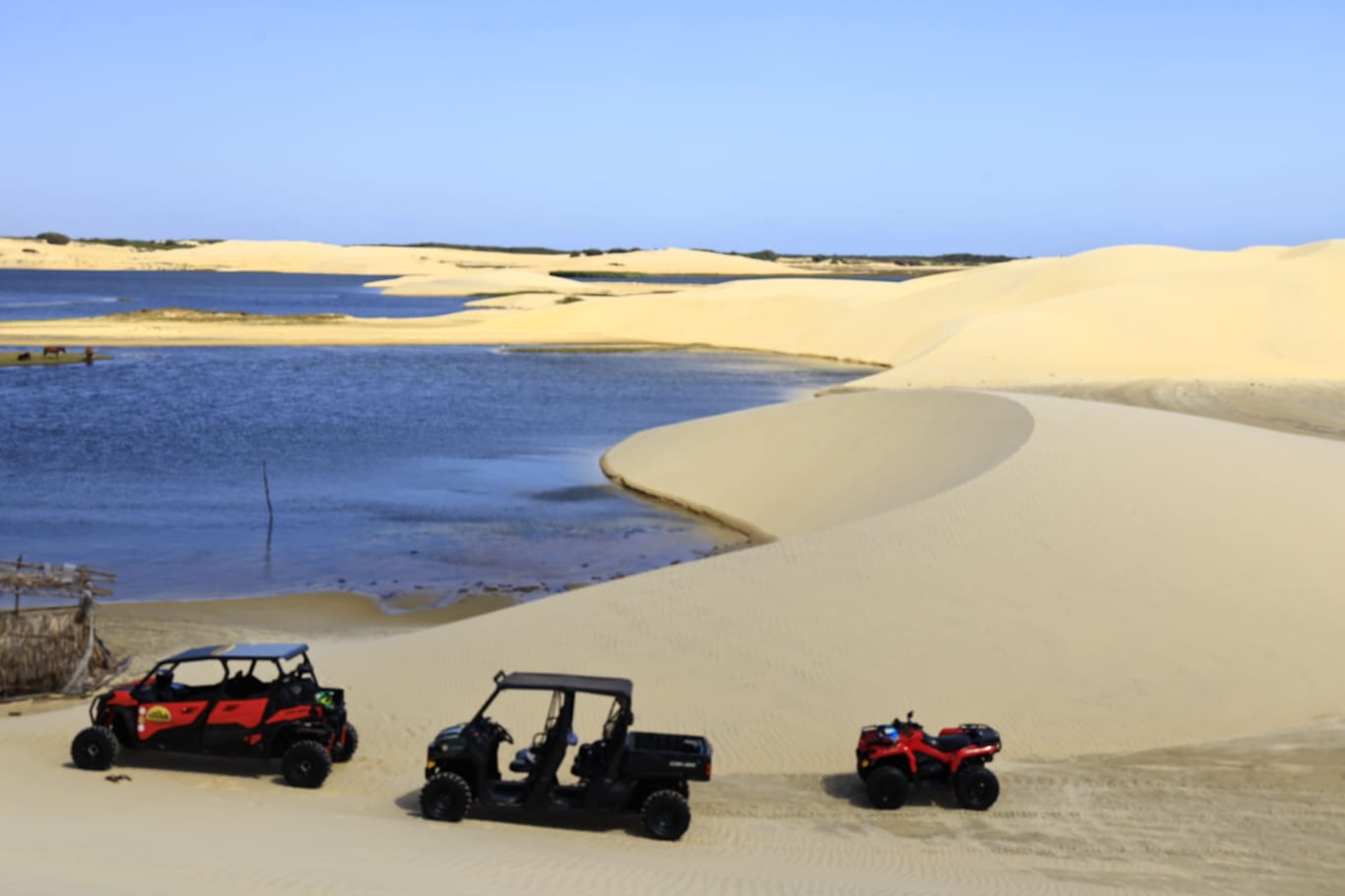 Home 18 1001299152 Home