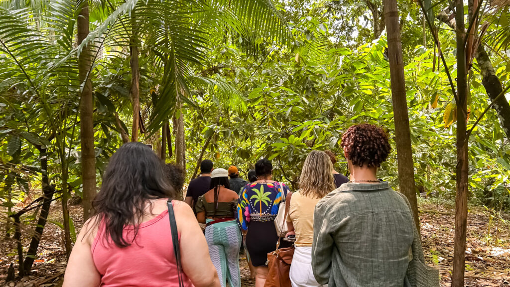 Ecoturismo, saúde e território: o que a Ilha do Combu ensina ao Brasil Ilha do Combu