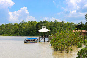 Ilha do Combu