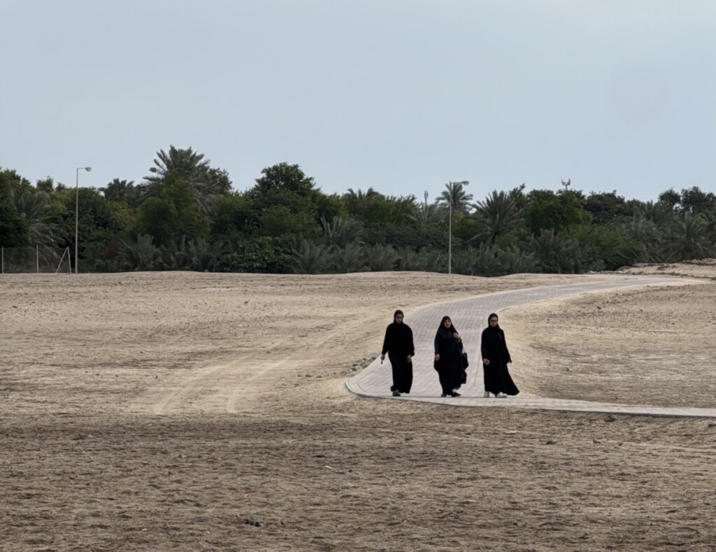 ARTIGO - Do Golfo Pérsico a Sir Bani Yas: a viagem que me reconectou às minhas raízes ARTIGO - Do Golfo Pérsico a Sir Bani Yas: a viagem que me reconectou às minhas raízes