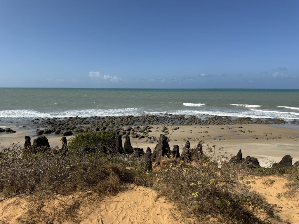 ARTIGO - Nem toda viagem é sobre ir longe 