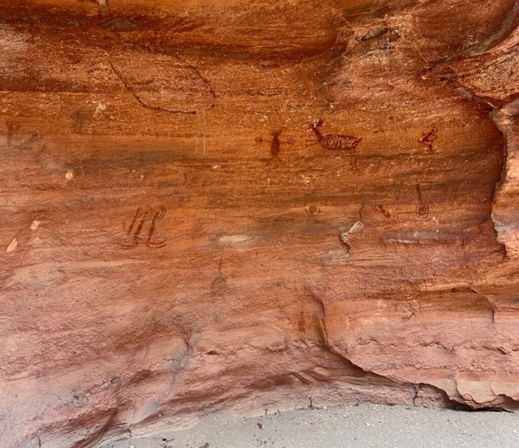 ARTIGO – Serra da Capivara, um destino natural de história, aventura e contemplação ARTIGO – Serra da Capivara, um destino natural de história, aventura e contemplação