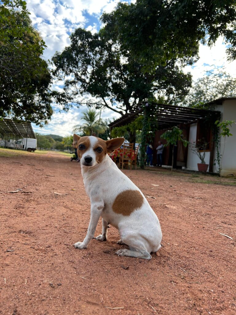 ARTIGO - Quando viajei, encontrei uma parte de mim que nem sabia que estava perdida ARTIGO - Quando viajei, encontrei uma parte de mim que nem sabia que estava perdida