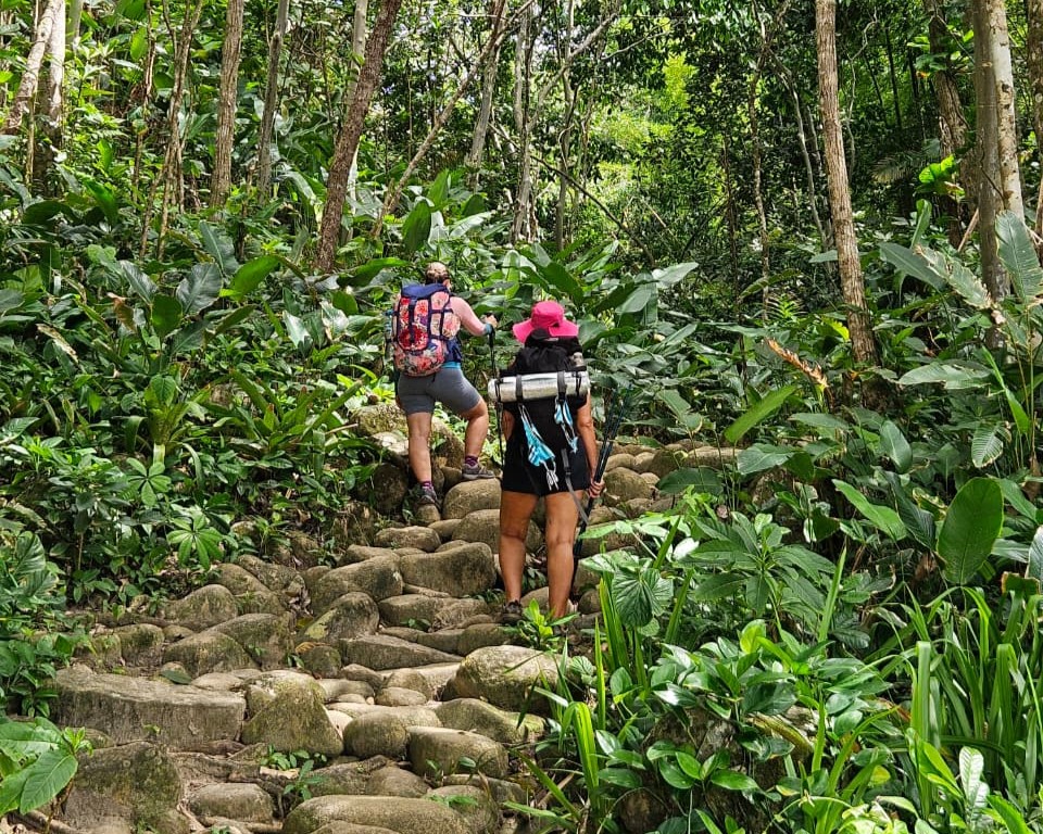 Após caso no Pico do Paraná, guarda-parque reforça regras básicas para trilhas seguras