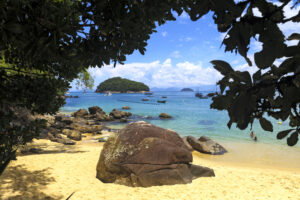 Ilha das Couves, Ubatuba - Até 1° de abril, a Secretaria e a Fundação, em parceria, pretendem selecionar e apoiar pesquisa e avaliação de resultados para o turismo paulista (André Rosa/Setur-SP)