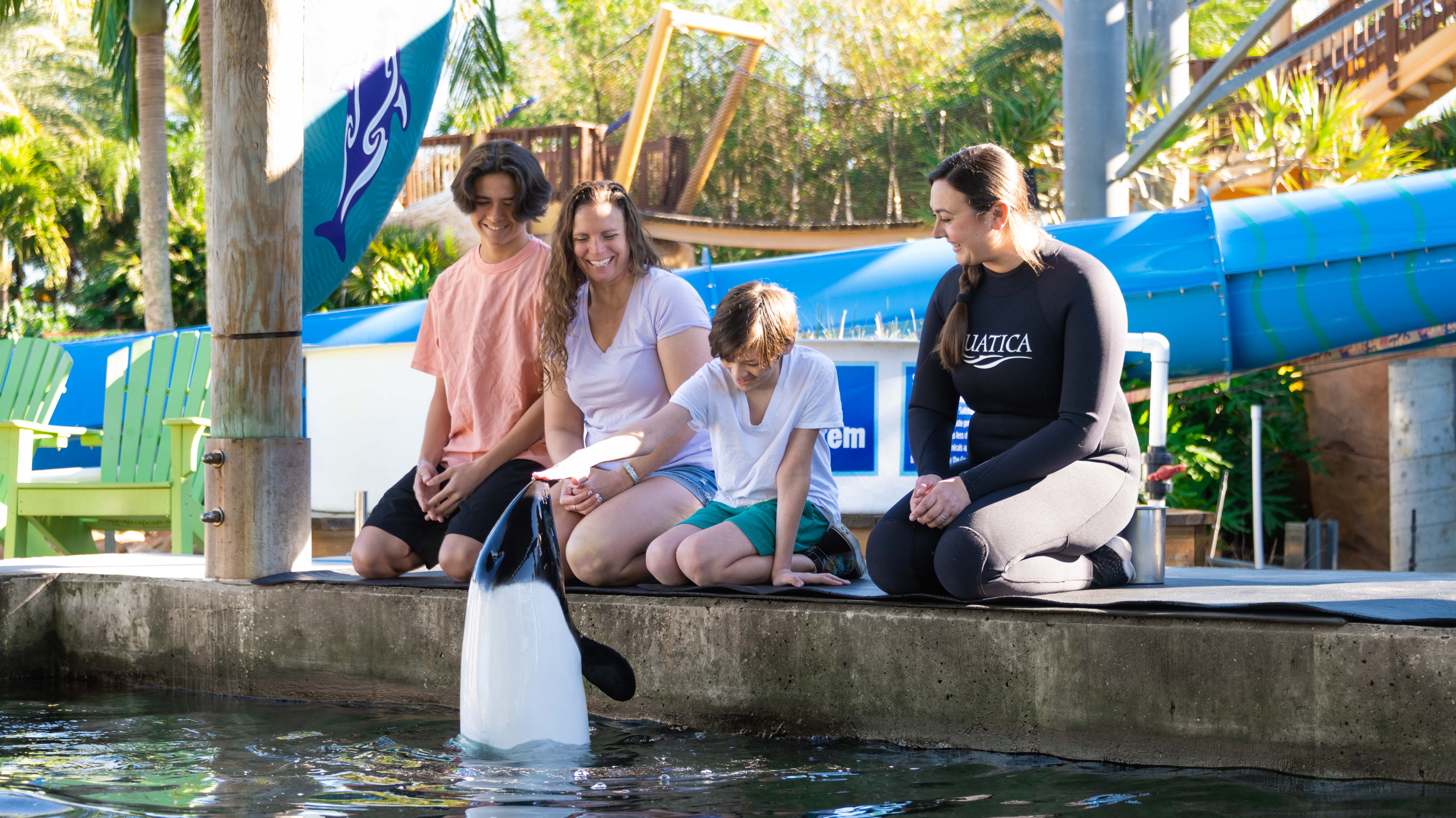 Aquatica Orlando investe em modernização do parque e reformula eventos para 2026 Aquatica Orlando investe em modernização do parque e reformula eventos para 2026