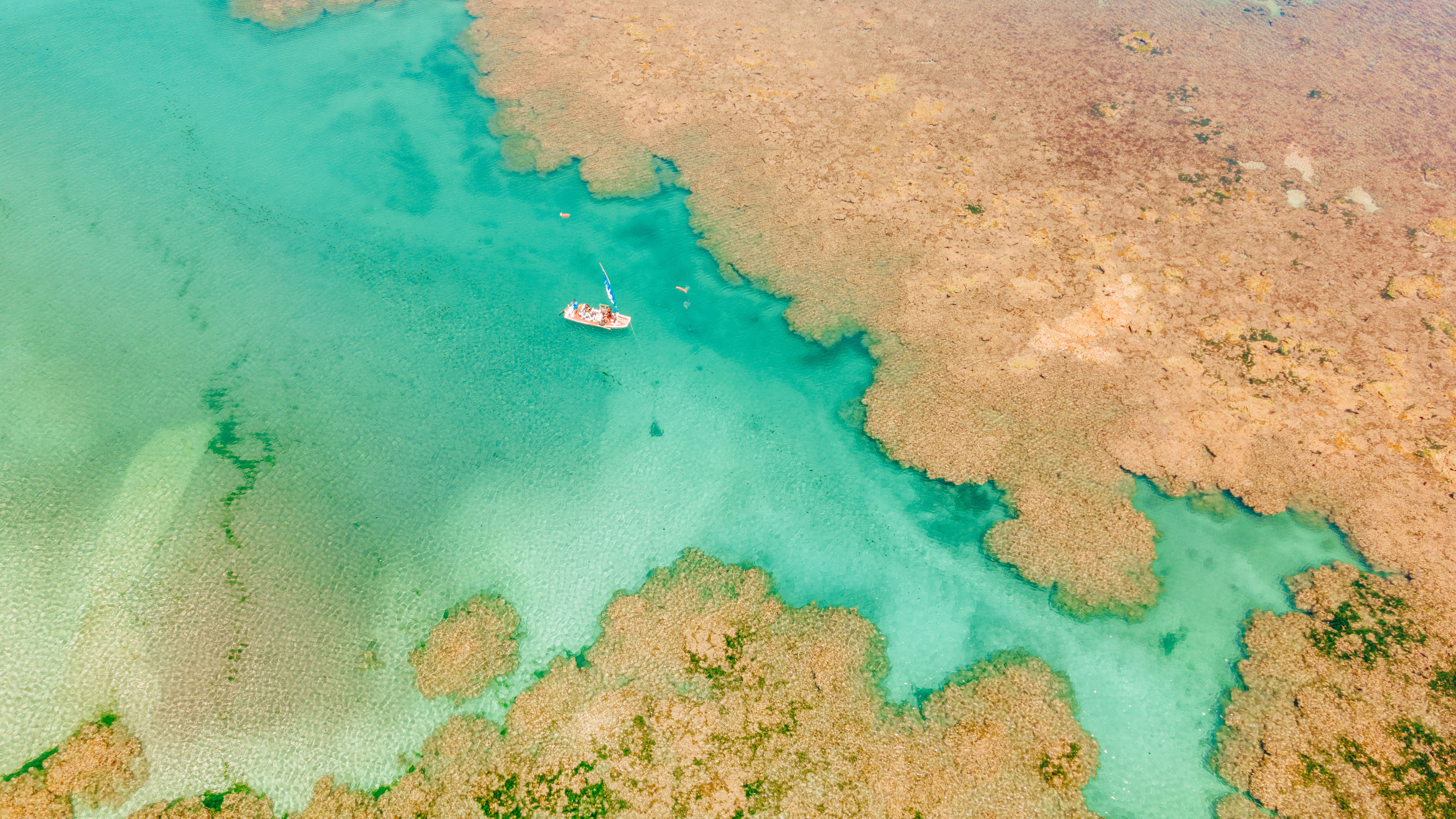 Projeto Corais de Alagoas avança para fase de restauração e reforça turismo responsável no litoral Corais