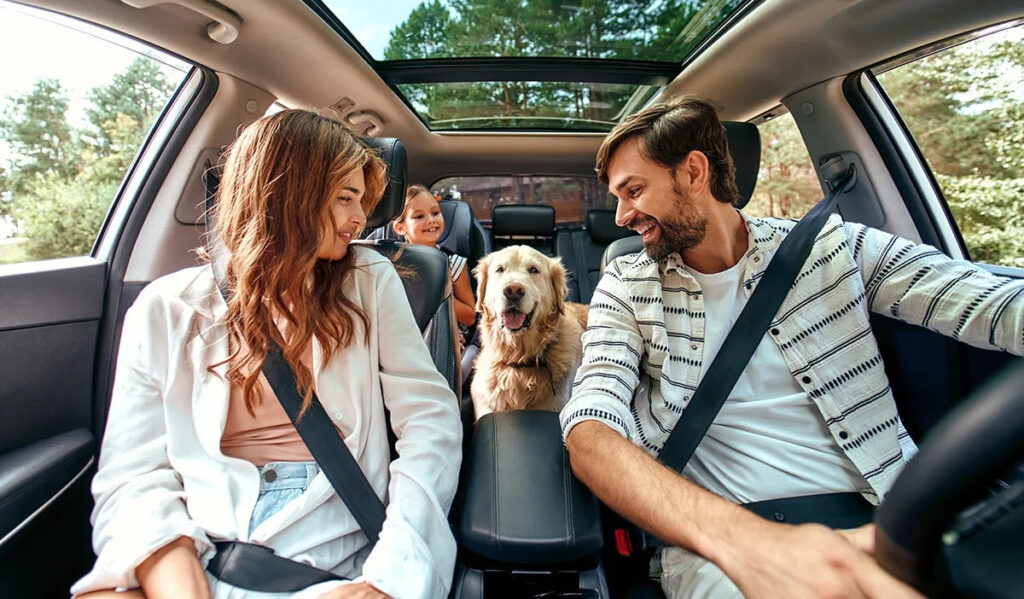 Decolar indica opções de hospedagens para viagens com pets em 2026 Decolar