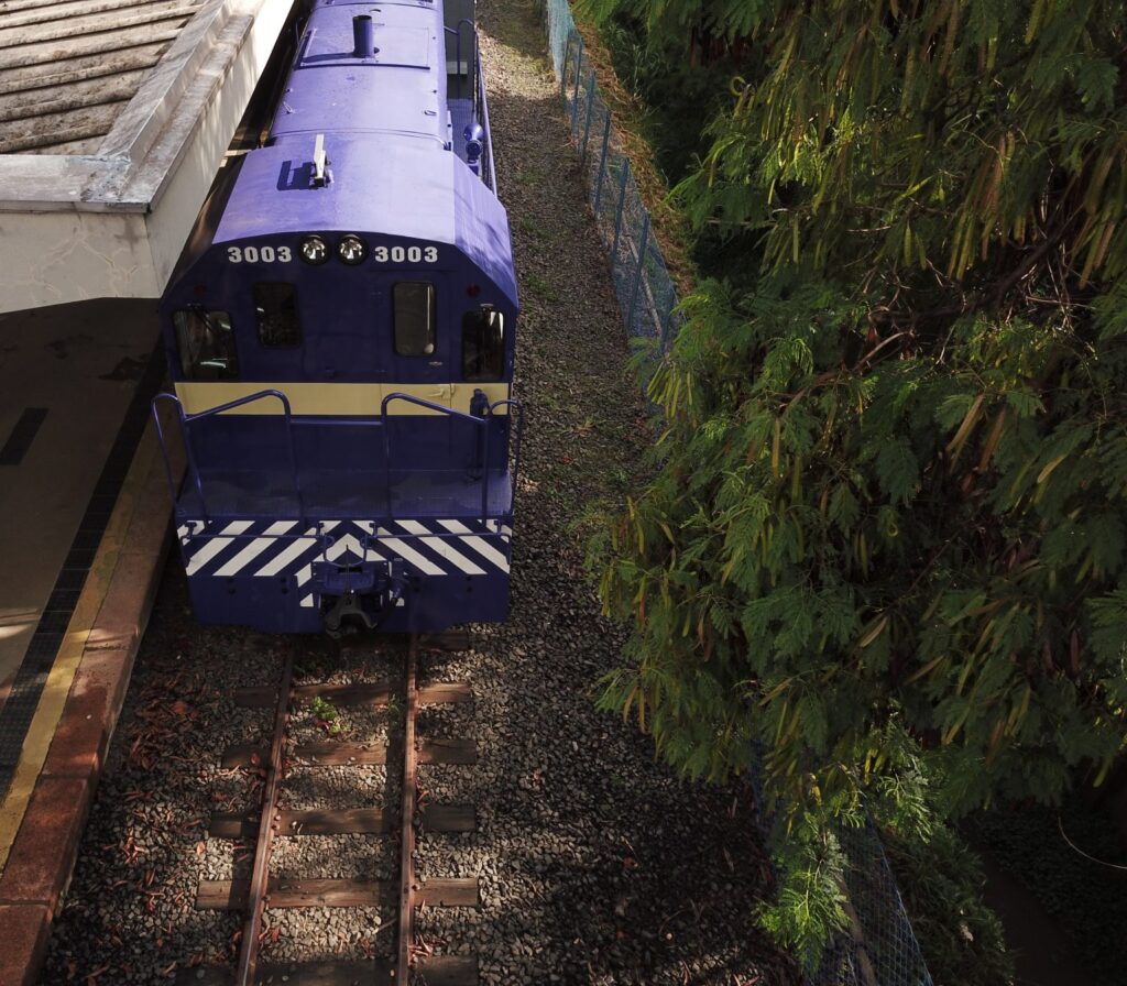 Beer Train retorna a São Paulo em 2026 com experiência cervejeira sobre trilhos históricos Beer Train