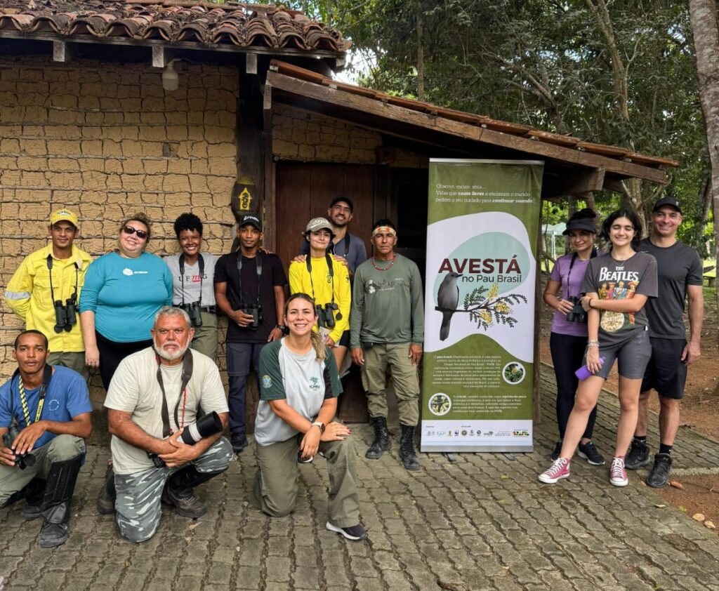 Turismo regenerativo impulsiona observação de aves em Porto Seguro com projeto AVESTÁ Turismo regenerativo impulsiona observação de aves em Porto Seguro com projeto AVESTÁ