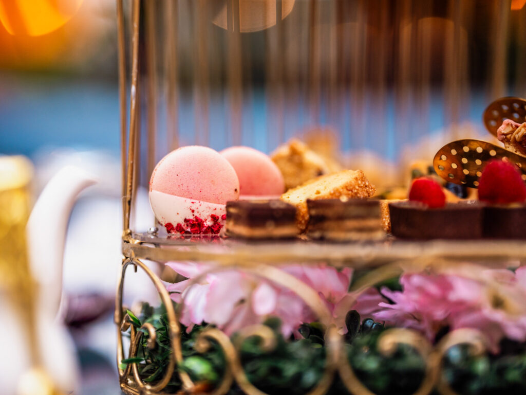 Festival das Cerejeiras transforma Washington em cenário de primavera e celebra amizade histórica