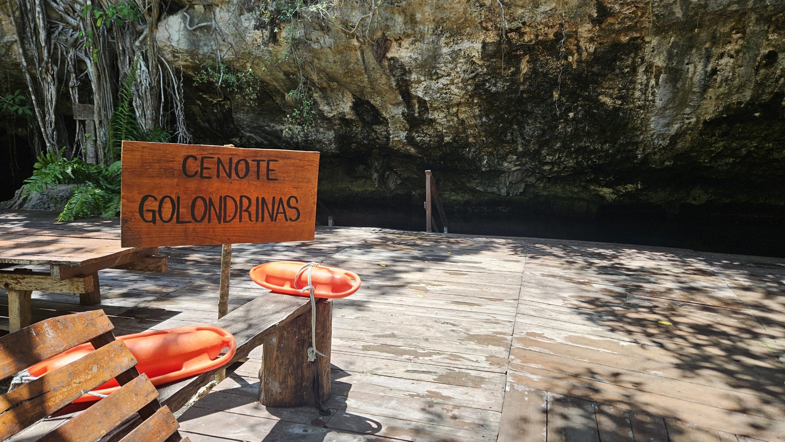 Celote Golondrinas