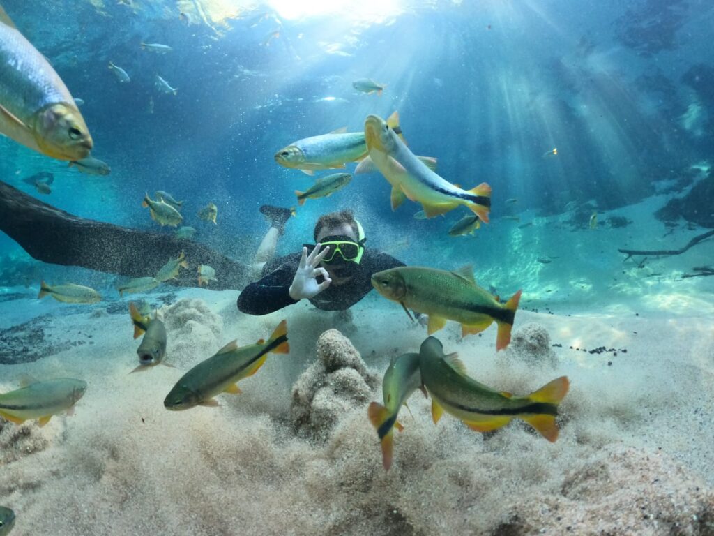 Recanto Ecológico Rio da Prata é eleito o melhor atrativo turístico do Brasil em 2026 Recanto Ecológico Rio da Prata é eleito o melhor atrativo turístico do Brasil em 2026