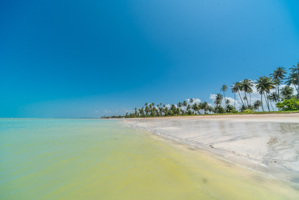 Praias de Alagoas estão entre as 15 melhores da América do Sul praia