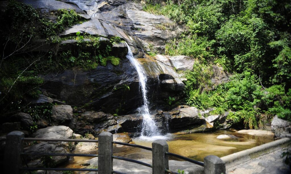 Parque Nacional da Tijuca bate recorde de visitantes e acelera investimentos de R$ 75 milhões Parque Nacional da Tijuca bate recorde de visitantes e acelera investimentos de R$ 75 milhões