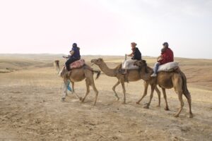 Marrocos (Ana Azevedo/m&E)