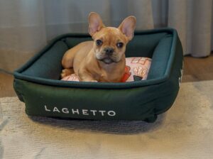 Laghetto