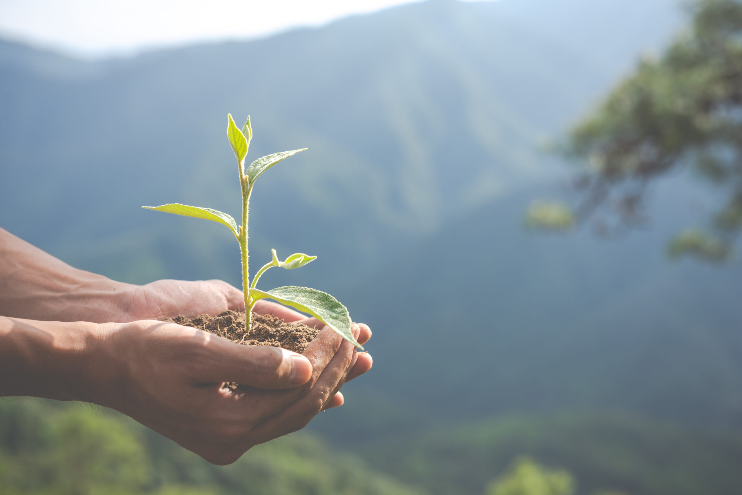 14ª edição do Prêmio Braztoa de Sustentabilidade recebe inscrições até 18 de junho 14ª edição do Prêmio Braztoa de Sustentabilidade recebe inscrições até 18 de junho