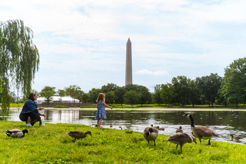 Washington, DC é eleita em , pelo sexto ano seguido, a cidade com o melhor sistema de parques dos EUA em 2026 Washington, DC é eleita em , pelo sexto ano seguido, a cidade com o melhor sistema de parques dos EUA em 2026