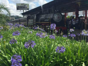 Gramado