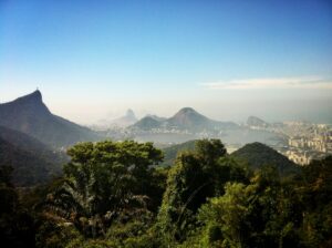 Um Dia no Parque