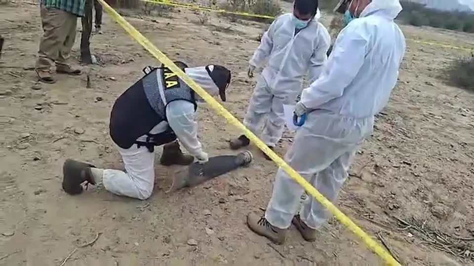 Trajédia nas Linhas de Nazca: Queda de avião mata 13 pessoas nazca