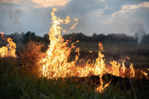 incêndios