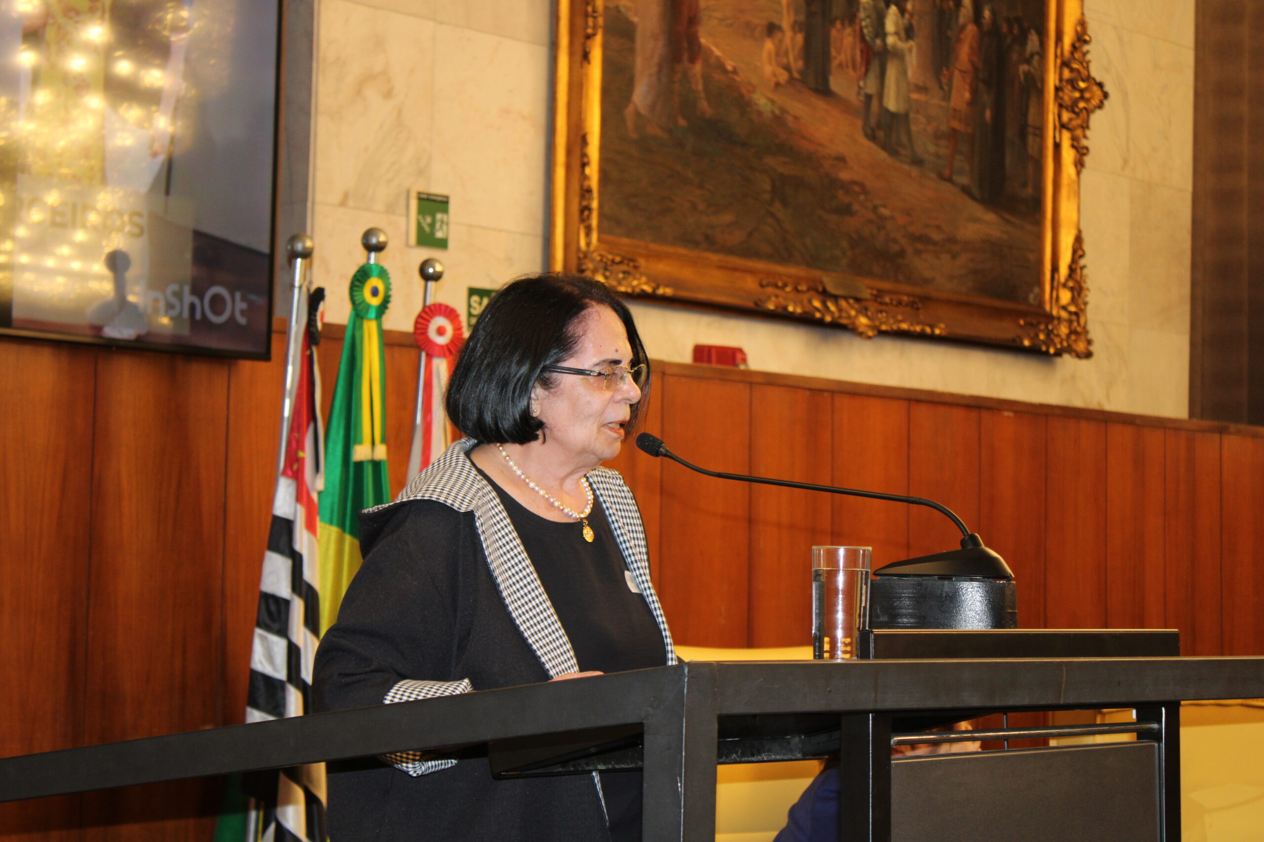 Eneida Rosi, líder do Comitê 60+ do Grupo Mulheres do Brasil no Núcleo de São Paulo