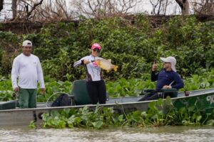 Pantanal