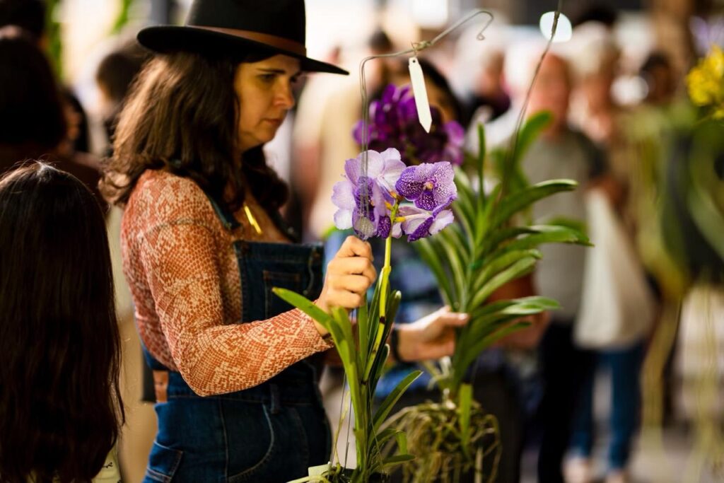 Nova Friburgo espera 50 mil visitantes com Festa do Morango e Festa da Flor Friburgo