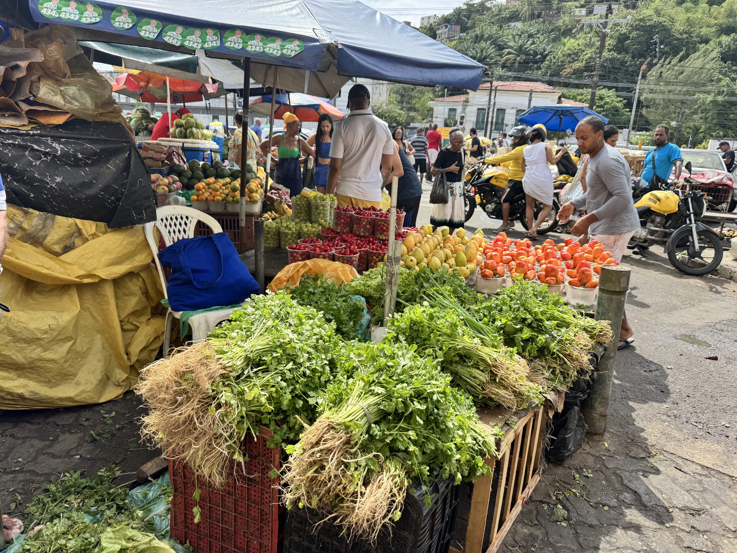 A Feira de São Joaquim traduz em cores, aromas e sabores a cultura baiana. (Felipe Abílio:M&E)