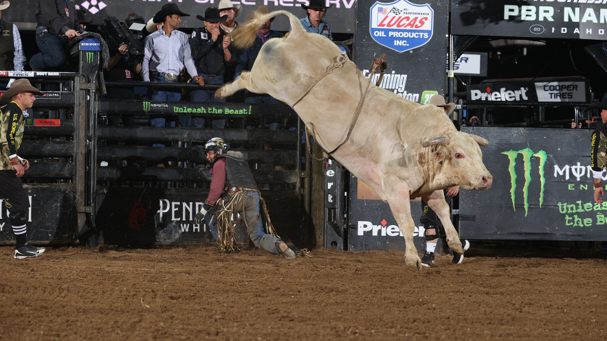 Professional Bull Riders: 10 lugares pelo mundo onde assistir às disputas de montaria em touros Professional Bull Riders: 10 lugares pelo mundo onde assistir às disputas de montaria em touros