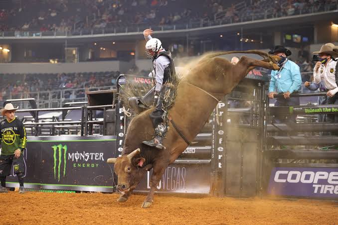Professional Bull Riders: 10 lugares pelo mundo onde assistir às disputas de montaria em touros Professional Bull Riders: 10 lugares pelo mundo onde assistir às disputas de montaria em touros