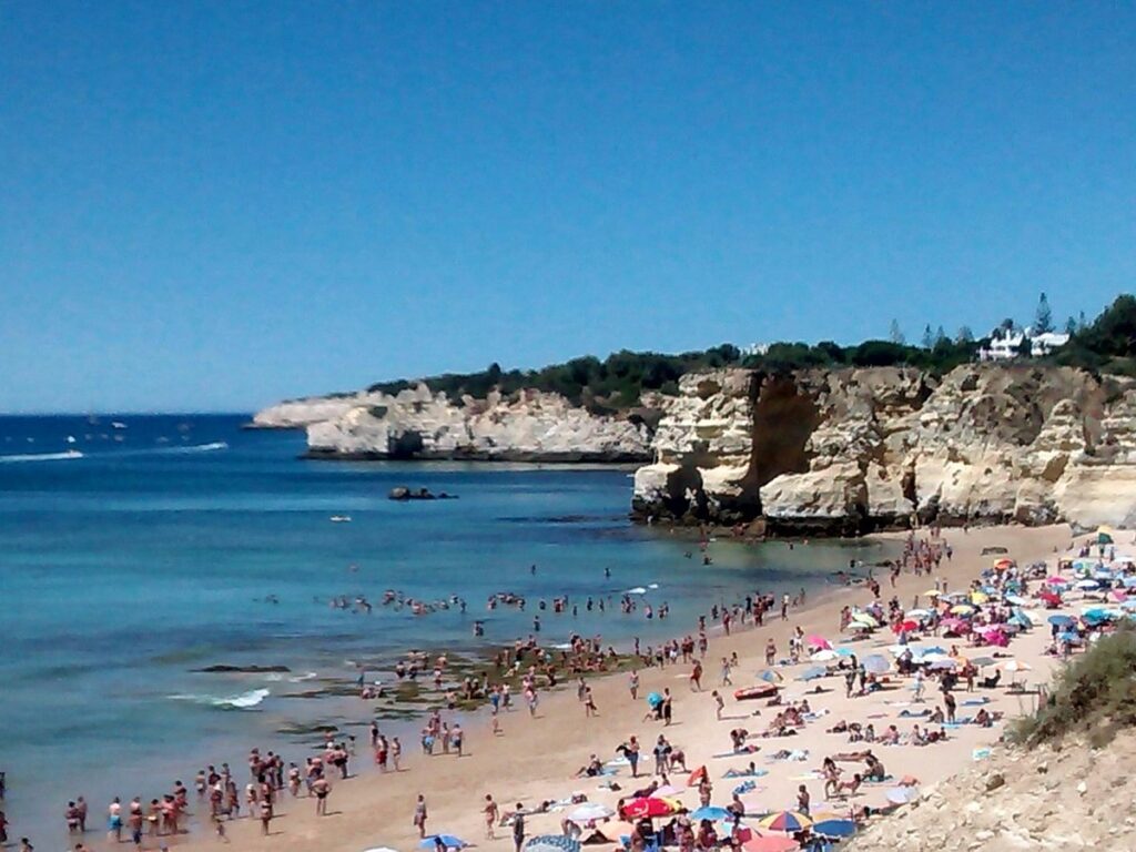 WSL em Peniche: veja 8 atrações para conhecer entre as baterias dos brasileiros WSL em Peniche: veja 8 atrações para conhecer entre as baterias dos brasileiros