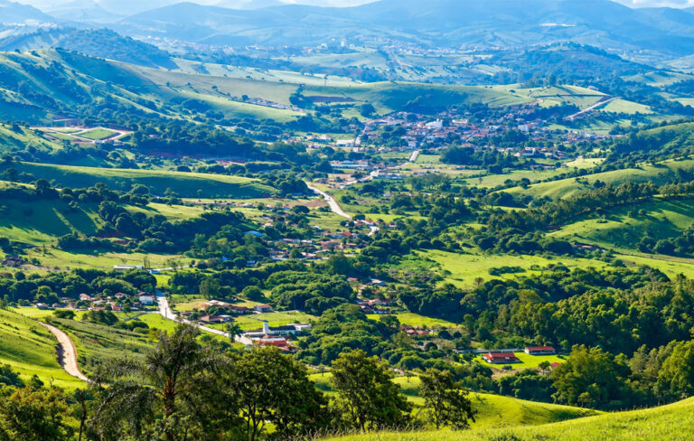 Minas